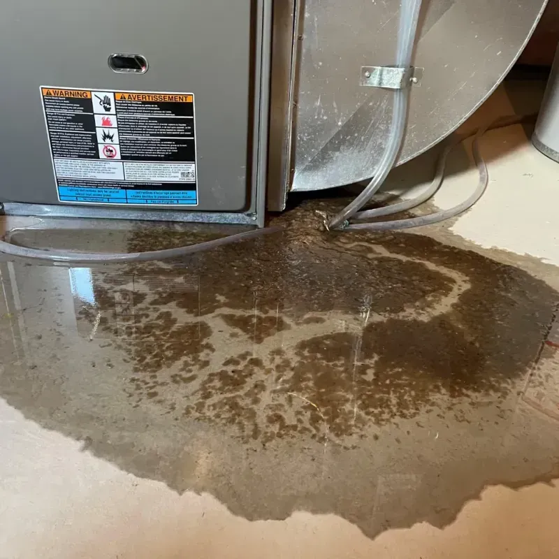 Appliance Leak Cleanup in Indian Head, MD